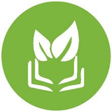 Green B-School Icon